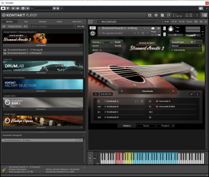 Stummed Acoustic 2