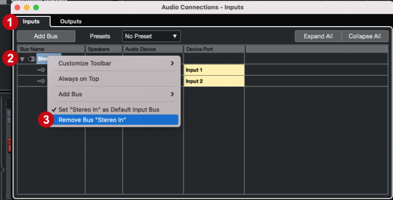 Cubase - Audio connections inputs remove bus